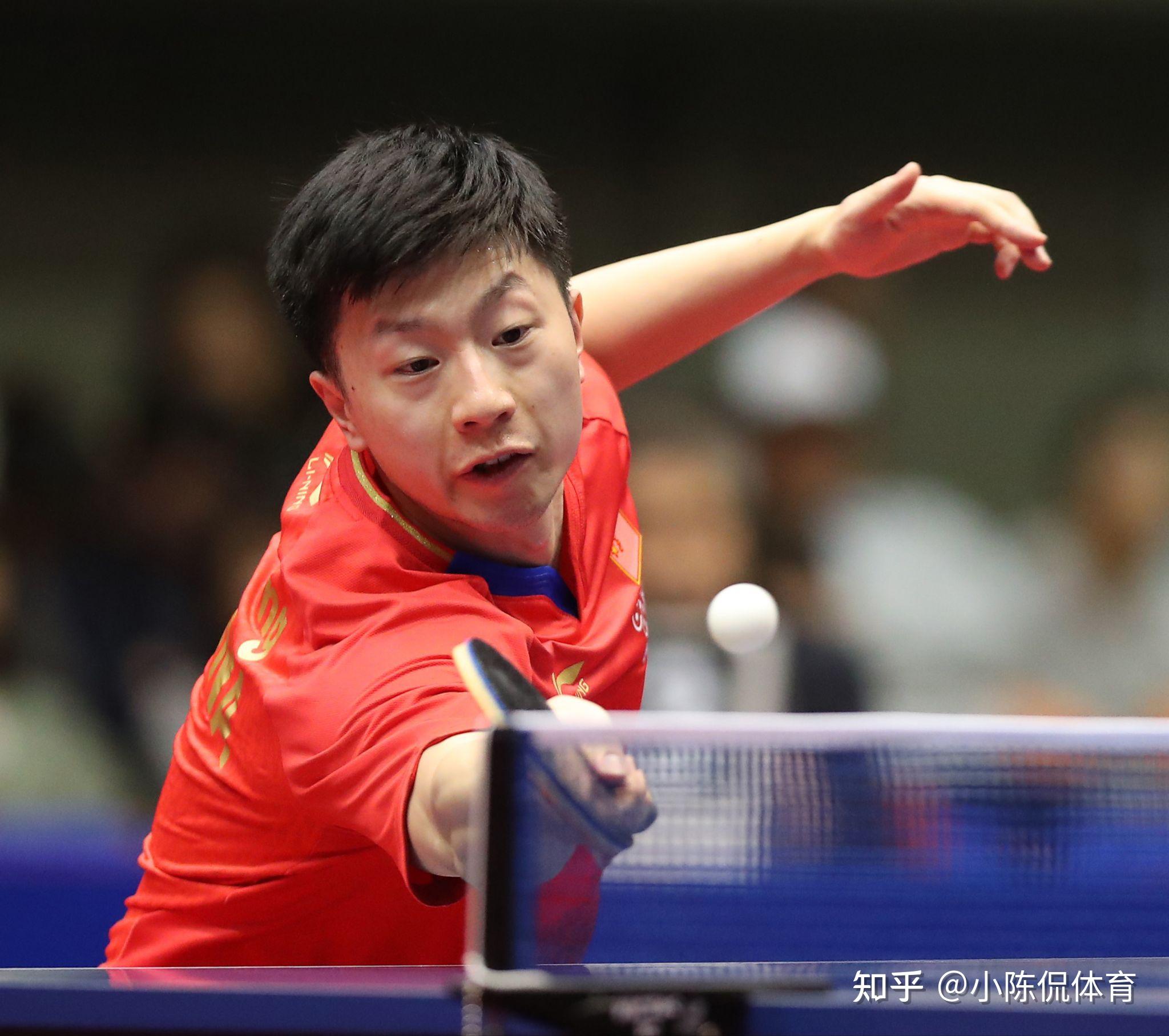 的主要成就 的主要成就