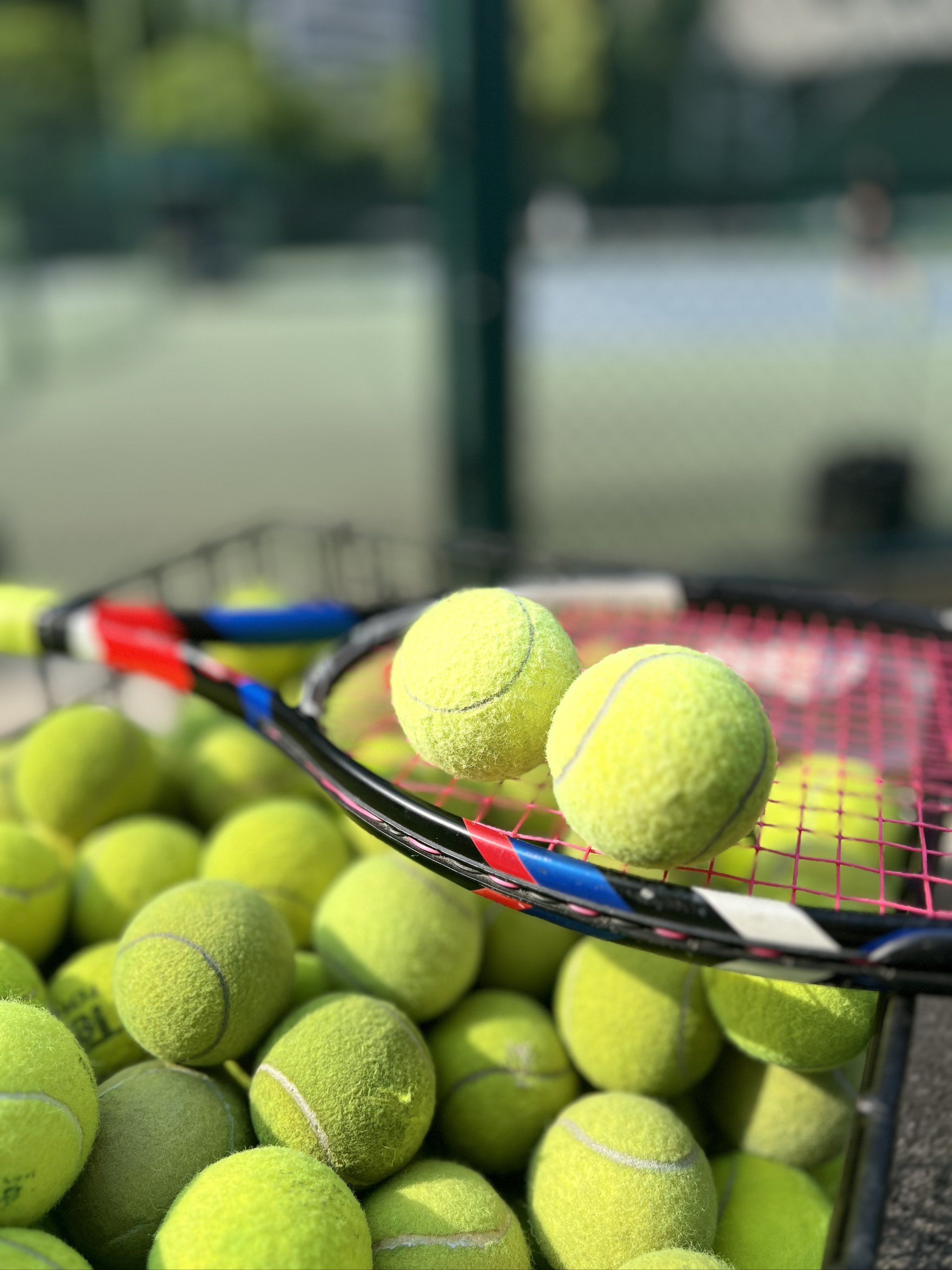 万的合同顺 万的合同顺