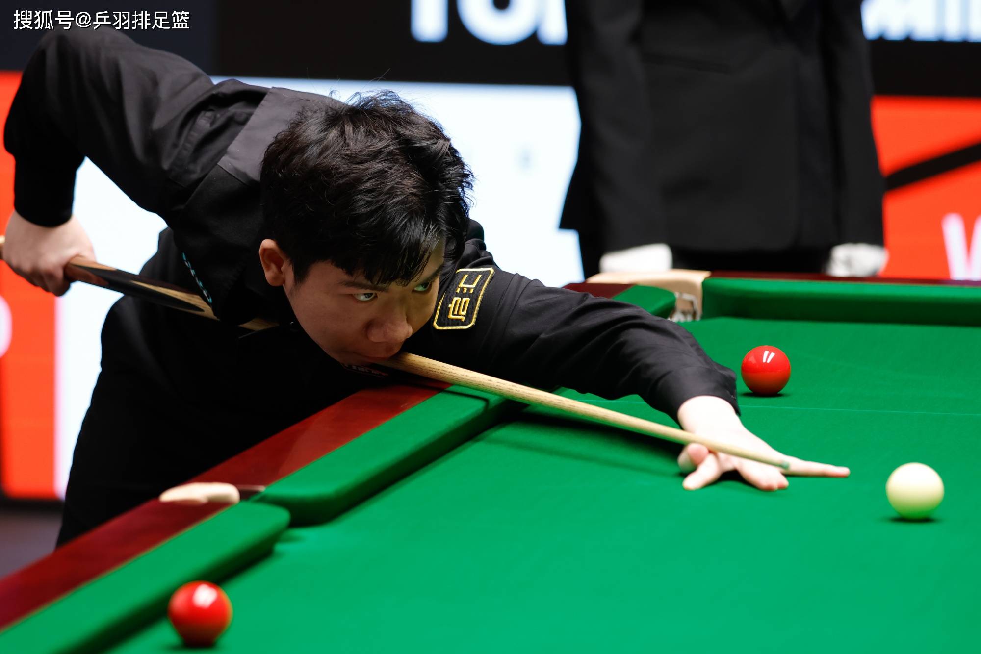 漓尽致的发 漓尽致的发