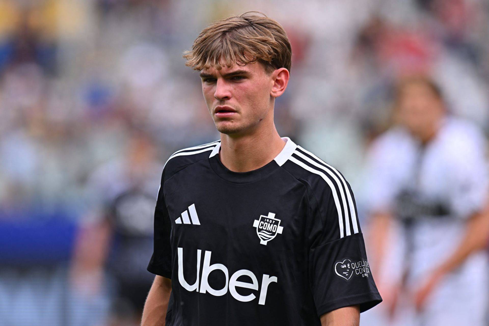 对手针对豪 对手针对豪